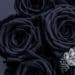 Luxury diamond jewelry bracelet and black roses flowers, love gi