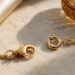 Close-up of lobster and spring ring clasp mechanisms