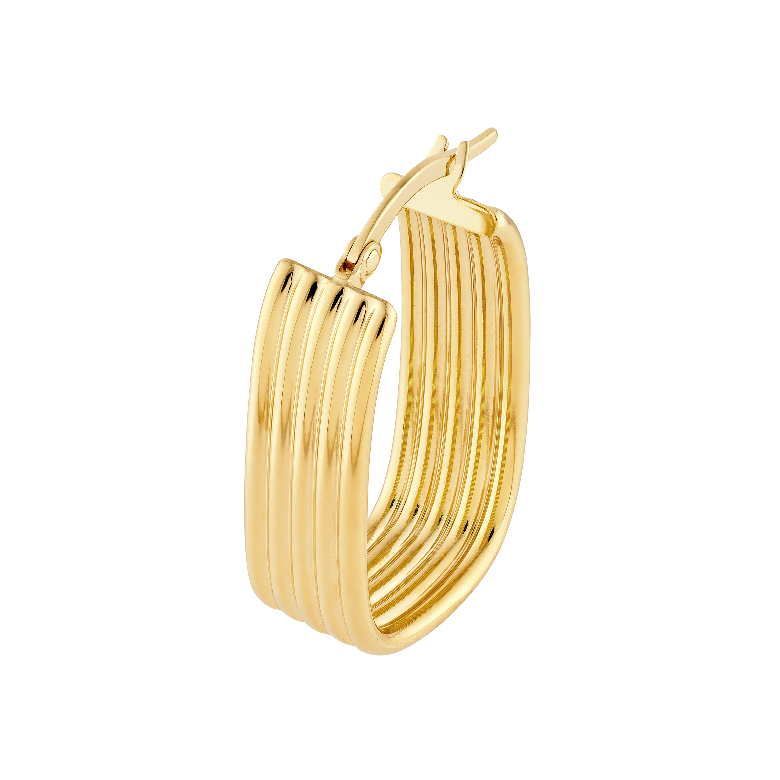 Hoop Earrings