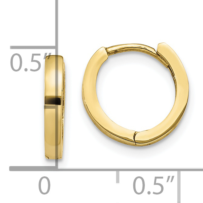  10.5 mm 10k Yellow Gold Circle Hinged Hoop Earrings  Unknown Friendly Weight 10K yellow gold - view 3