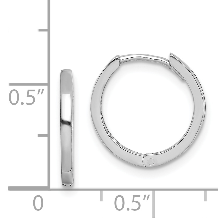  10 mm Sterling Silver Hinged Hoop Earrings  Unknown Friendly Weight Sterling Silver - view 11