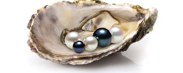 akoya pearls