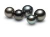 Tahitian Cultured Pearls