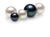 Akoya Cultured Pearls