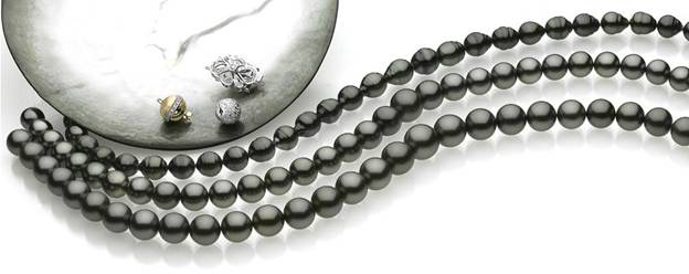 Tahitian Pearls