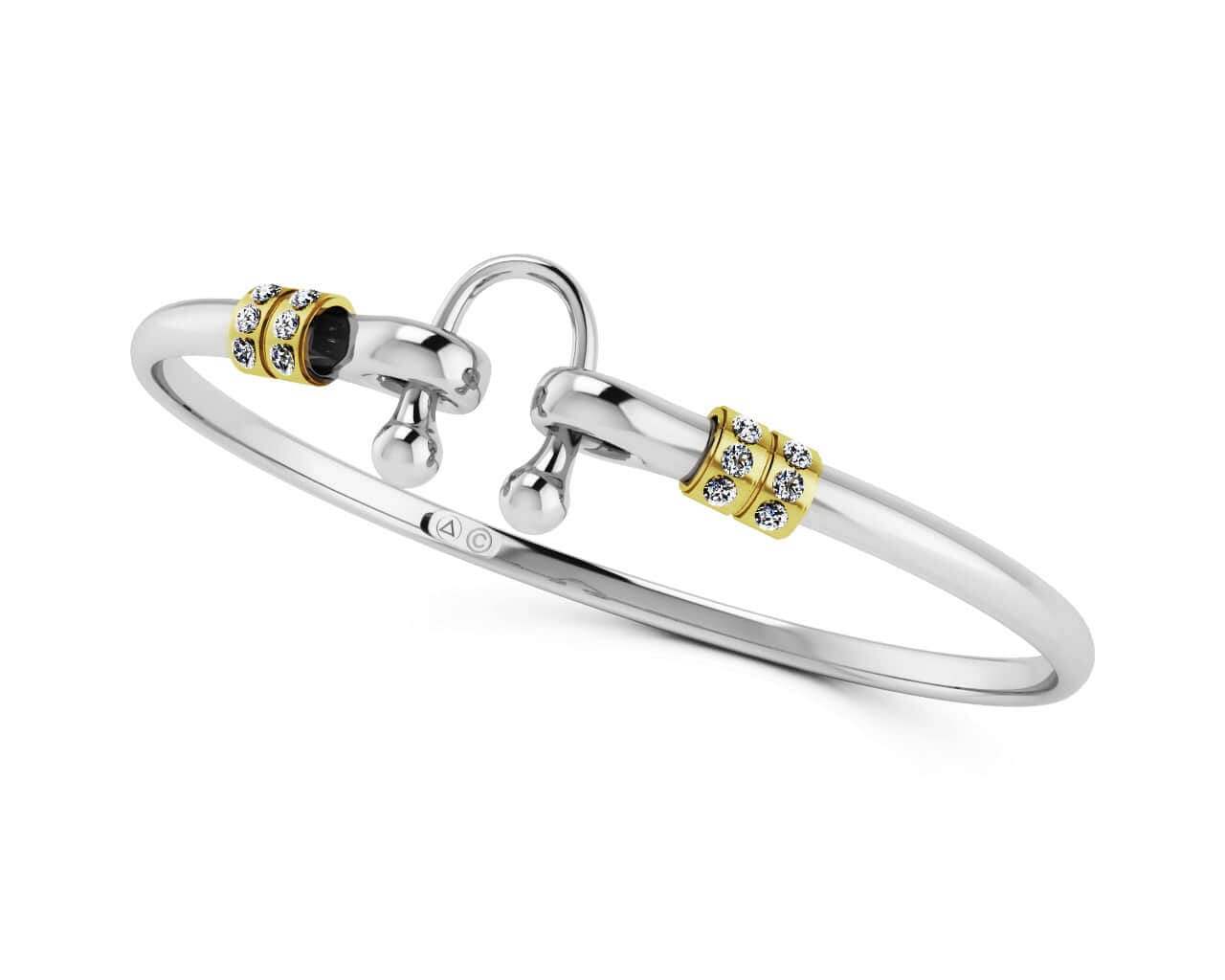 The Circle of Life Unity Bracelet Bangle